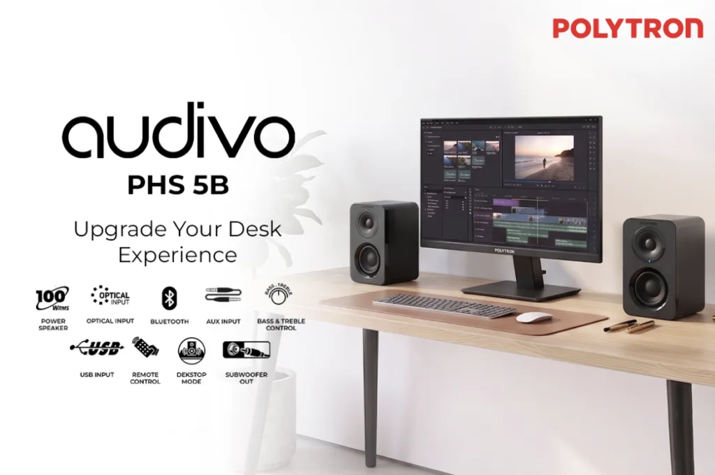Polytron Audivo PHS 5B